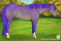 Horse Color:Watercolor Bay 