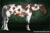 Horse Color:White Spotted Brown Mushroom 