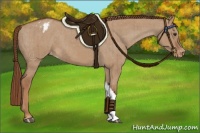 Horse Color:Red Dun Varnish Brindle