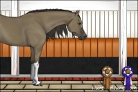 Horse Color:Smoky Grullo