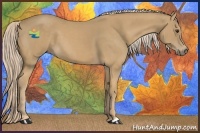 Horse Color:Palomino 