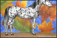 Horse Color:Gray Smoky Black Leopard 