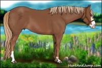 Horse Color:Chestnut Splash Frame 