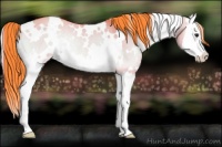 Horse Color:Watercolor White Spotted Liver Red Dun Onyx Splash Rabicano 