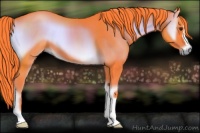 Horse Color:Watercolor Liver Red Onyx 