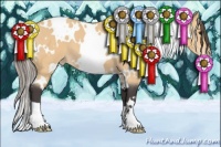 Horse Color:White Spotted Buckskin Appaloosa 