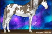 Horse Color:White Spotted Smoky Grullo Splash Appaloosa 