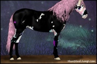 Horse Color:Watercolor Liver Red Onyx Sabino Appaloosa 