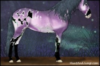 Horse Color:Watercolor Buckskin Onyx Sabino Appaloosa 