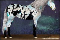 Horse Color:Watercolor Chocolate Palomino Onyx Sabino Appaloosa 