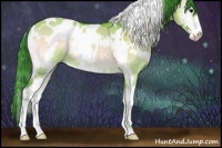 Horse Color:Watercolor White Spotted Bay Onyx Sabino 