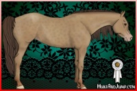 Horse Color:Classic Champagne 