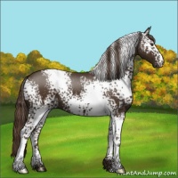 Horse Color:White Spotted Liver Chestnut 