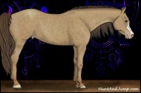 Horse Color:Classic Champagne 
