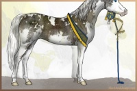 Horse Color:White Spotted Liver Chestnut Ice Splash