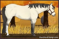 Horse Color:Buckskin Dun 