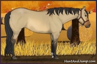 Horse Color:Bay Dun