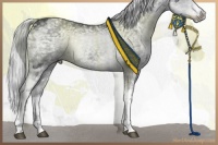 Horse Color:White Spotted Silver Black Chinchilla Ice Tobiano 