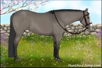 Horse Color:Grullo Splash 