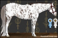 Horse Color:Liver Chestnut Sabino Splash Near Leopard  and Liver Red Roan Splash Near Fewspot 