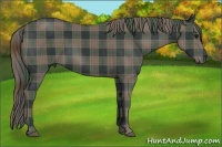 Horse Color:Plaid  Black 
