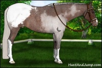 Horse Color:Silver Brown Roan Snowcap 
