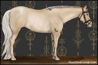 Horse Color:Silver Smoky Black Pearl Rabicano 