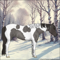 Horse Color:Smoky Blue Roan Tobiano 
