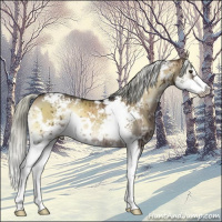 Horse Color:White Spotted Liver Red Dun Onyx Mushroom Splash Brindle 