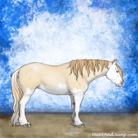 Horse Color:Smoky Black Pearl Splash 