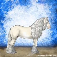 Horse Color:White Spotted Gold Cream Champagne 