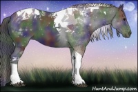 Horse Color:Nacre Black Tobiano