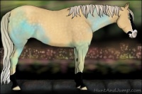 Horse Color:Gold Cream Champagne Splash 