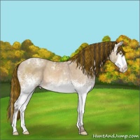 Horse Color:Painted White Spotted Amber Champagne Ice Splash