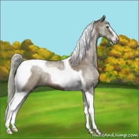 Horse Color:Liver Red Dun Sabino Tobiano 
