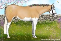 Horse Color:Silver Bay Pearl Sabino Splash 