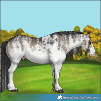 Horse Color:White Spotted Blue Onyx 