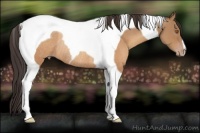 Horse Color:Sable Champagne Tobiano Rabicano
