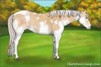 Horse Color:Watercolor White Spotted Liver Chestnut Splash Tobiano 