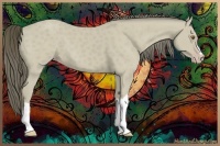 Horse Color:Classic Cream Champagne 