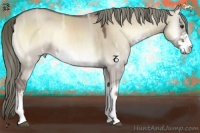 Horse Color:Liver Red Dun Ice Onyx Mushroom Sabino 