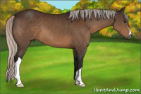 Horse Color:Gray Silver Brown 