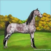 Horse Color:White Spotted Liver Red Dun Ice 