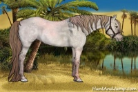 Horse Color:Liver Red Dun Ice Roan Rabicano 