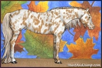 Horse Color:Palomino Near Leopard and Palomino Near Leopard