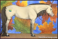 Horse Color:Amber Cream Champagne