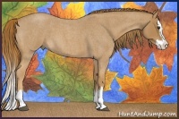 Horse Color:Red Roan Splash 