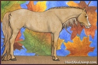 Horse Color:Red Roan Splash 