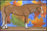 Horse Color:Red Roan Splash 