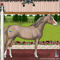 Horse Color:Red Roan Splash 